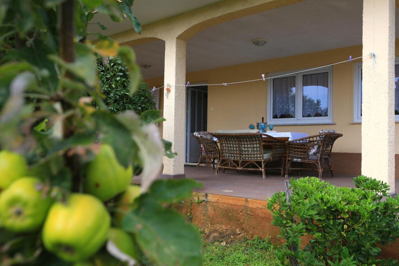 Apartment Rosa